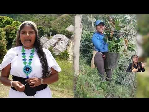 Talento Magdalena, programa de inclusión que transforma vidas