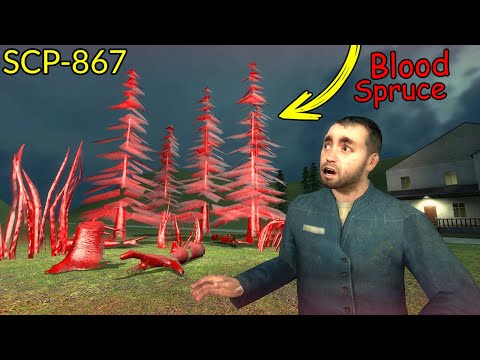 Never Touch SCP-867 Blood Spruce