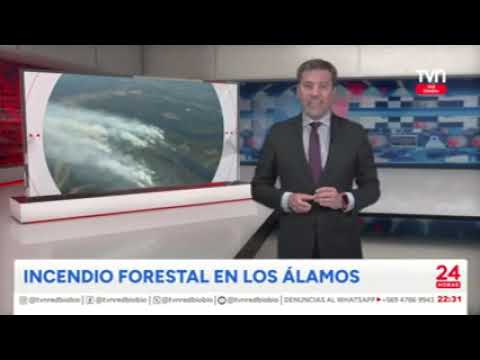 TVN / Incendio en Los Álamos / Cuña Presidente Corma Biobío y Ñuble, Alejandro Casagrande