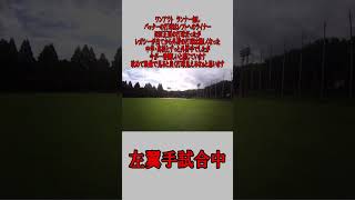 草野球 左翼手 ワンアウト ランナー無し レフトライナーの場合 #野球  #草野球  #左翼手
