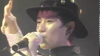 原田知世-04-麝香猫(じゃこうねこ)のサンバ (Live 1987)