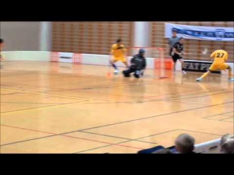 VarTa - FBI 17.11.2011 | Maalikooste