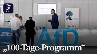 AfD in Sachsen-Anhalt: Siegmund kündigt „100-Tage-Programm“ an