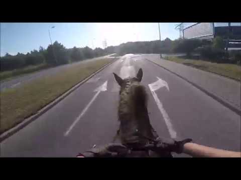 Nasz  pierwszy rajd konny