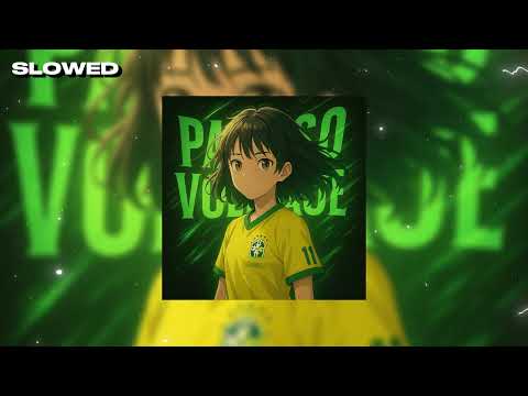 PASSO VOLTAJE (SLOWED + REVERB)