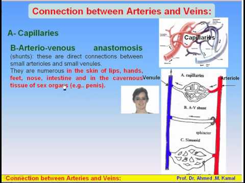 EslamNabil617’s Video 140732525833 onEfsr43WO8