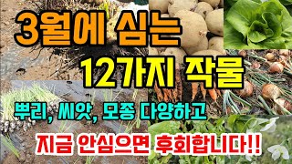 3월에 심는 작물 12가지 지금 뿌리 씨앗 모종으로 심는 작물 #3월에심는작물 #텃밭농사