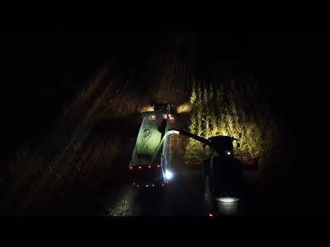 Maishäckseln 2020 Teil 1 [Nacht]