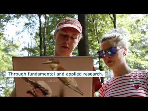 Take a moment to consider the Sustainable Development Goals