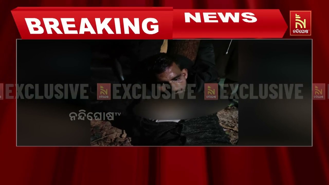 ରାତି ଅଧରେ ଗୁହାଳେ ପଶିଲେ ଚୋର। ବ୍ୟାଗରେ ଭର୍ତ୍ତି କରି ନେଇଯ