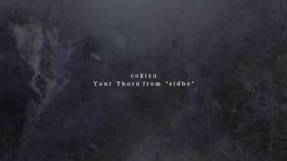 cokiyu - Your Thorn from 