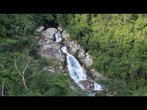 Watch: Explore Hainan Tropical Rainforest National Park
