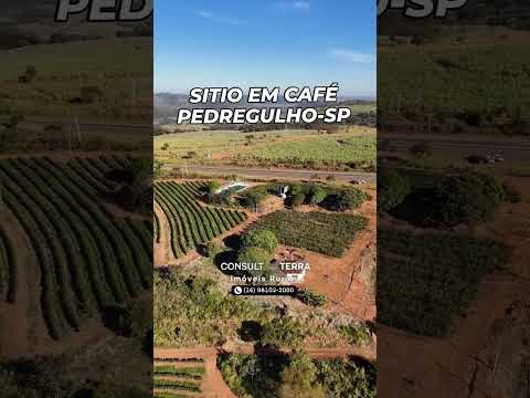 Sítio em Pedregulho-SP 23 hectares em café Irrigado. Valor 9.5 milhões.