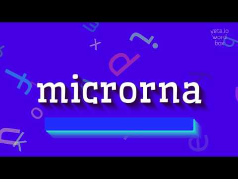 MICRORNA - How to say Microrna?
