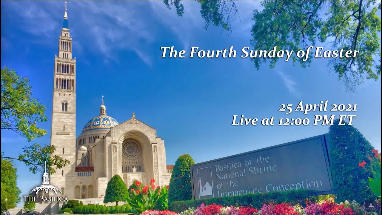 Basilica Sunday Mass Livestream 25 April 2021 Fourth Sunday of Easter