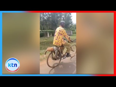 Siaya man confronts authorities with a python that killed his dog