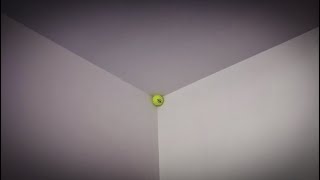 家の隅には何があるのか