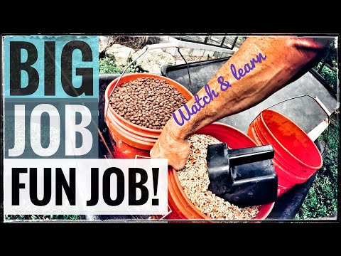 Feeding Day for all the Torts & Turtles!