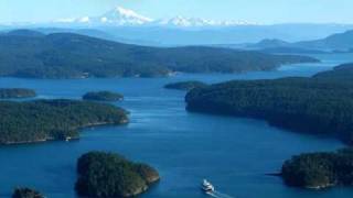 We Sing In Time-- The Lonely Forest COVER