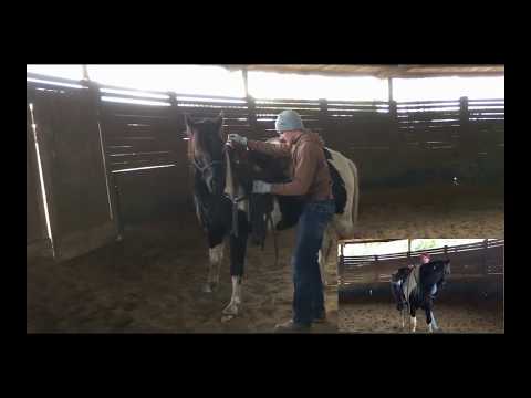 Tom Beetz - Mustang Makeover Germany 2018