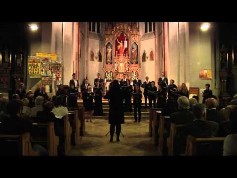 Tabula Rasa Chor - Konzert 2012 - 11 Oh, freedom