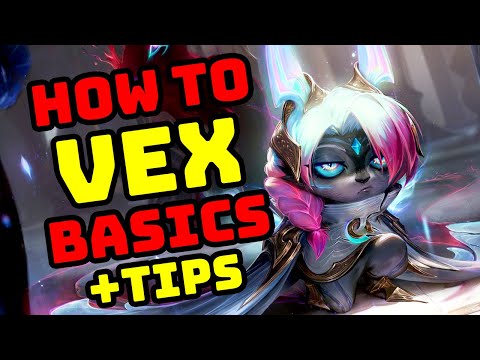 How to VEX - Basics Guide