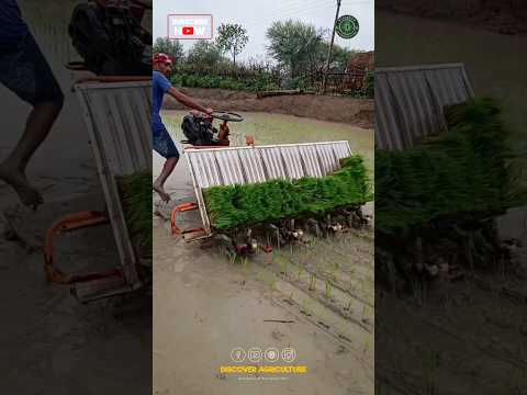 Amazing Rice Planting Machine