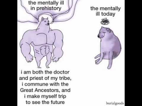 Being mentally ill in prehistory vs today