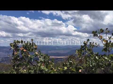 La Ley De Michoacan  yo tambien soy de rancho