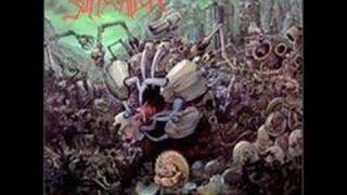 Suffocation - Mass Obliteration