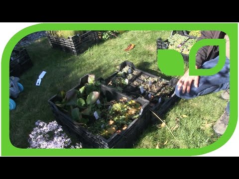 Die Auswahlkriterien für Fruchtfreundinnen