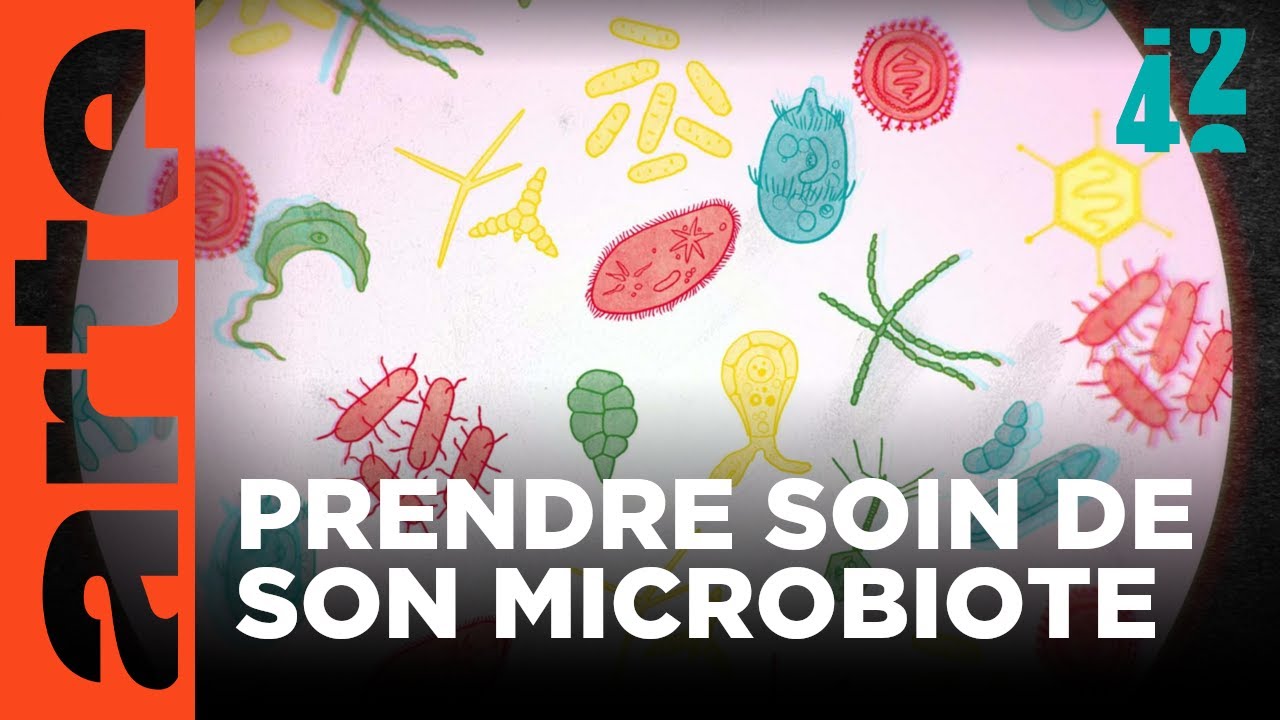 Notre microbiote nous domine-t-il ? | 42 - La réponse à presque tout | ARTE