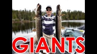 Джерковые удилища agat northern pike jerkface