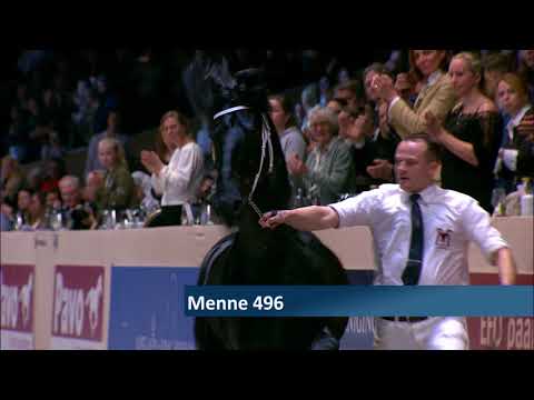 Hengstenkeuring 2018: Algemeen kampioenschap