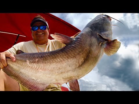 Best Catfish Bait from the Grocery Store