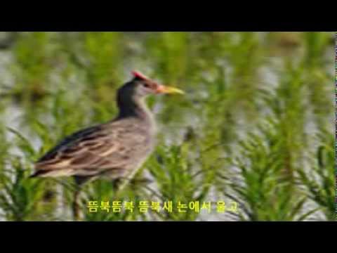 조용필 - 오빠생각