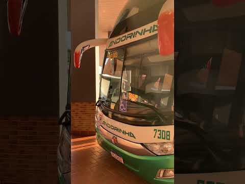 Graal Paloma - Paradiso G7 1800 DD da Andorinha fazendo Presidente Epitácio x São Paulo