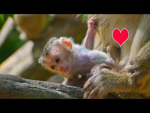 Rina is a very energetic newborn baby, but Rose doesn't allow her get out of control