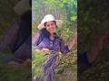️ ഒത്തിരി ഒത്തിരി സ്വപ്നങ്ങള്‍