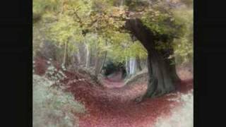 No More Walks In The Wood - The Eagles