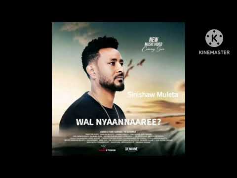 Wal nyaannaree? New music Afaan Oromoo 2024 #Sinishaw Muleta