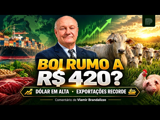 Boi Rumo aos R$ 420? Dólar Dispara e Exportações de Carnes Batem Recorde Histórico.