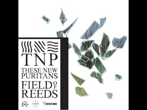 These New Puritans - Field of reeds (Full album)