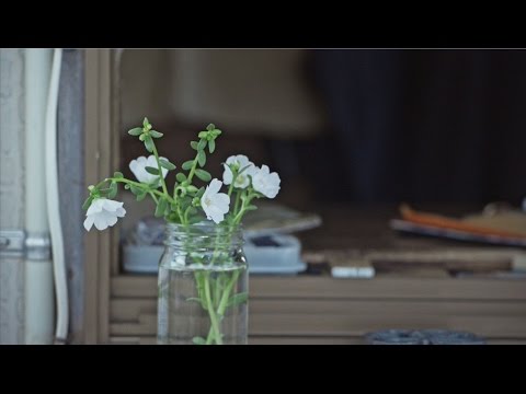中 孝介 『花』Music Video 2016ver.