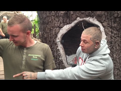 TypicalTV! - Krokodille ZOO