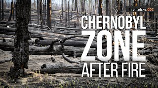 Chernobyl Zone After Fire