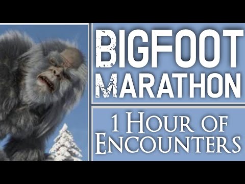 Bigfoot Ultra Marathon #11 - Over One Hour of Bigfoot Encounters