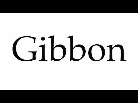 How to Pronounce Gibbon