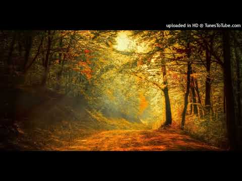 Piscine Bethesda /  Sr.  SYLVANIE PIERRE LOUIS    / INCROYABLE  VOIX  NATURELLE  / PAGE  OFFICIELLE