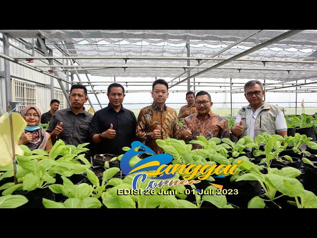 Banggai Corner Edisi 26 Juni - 01 Juli 2023